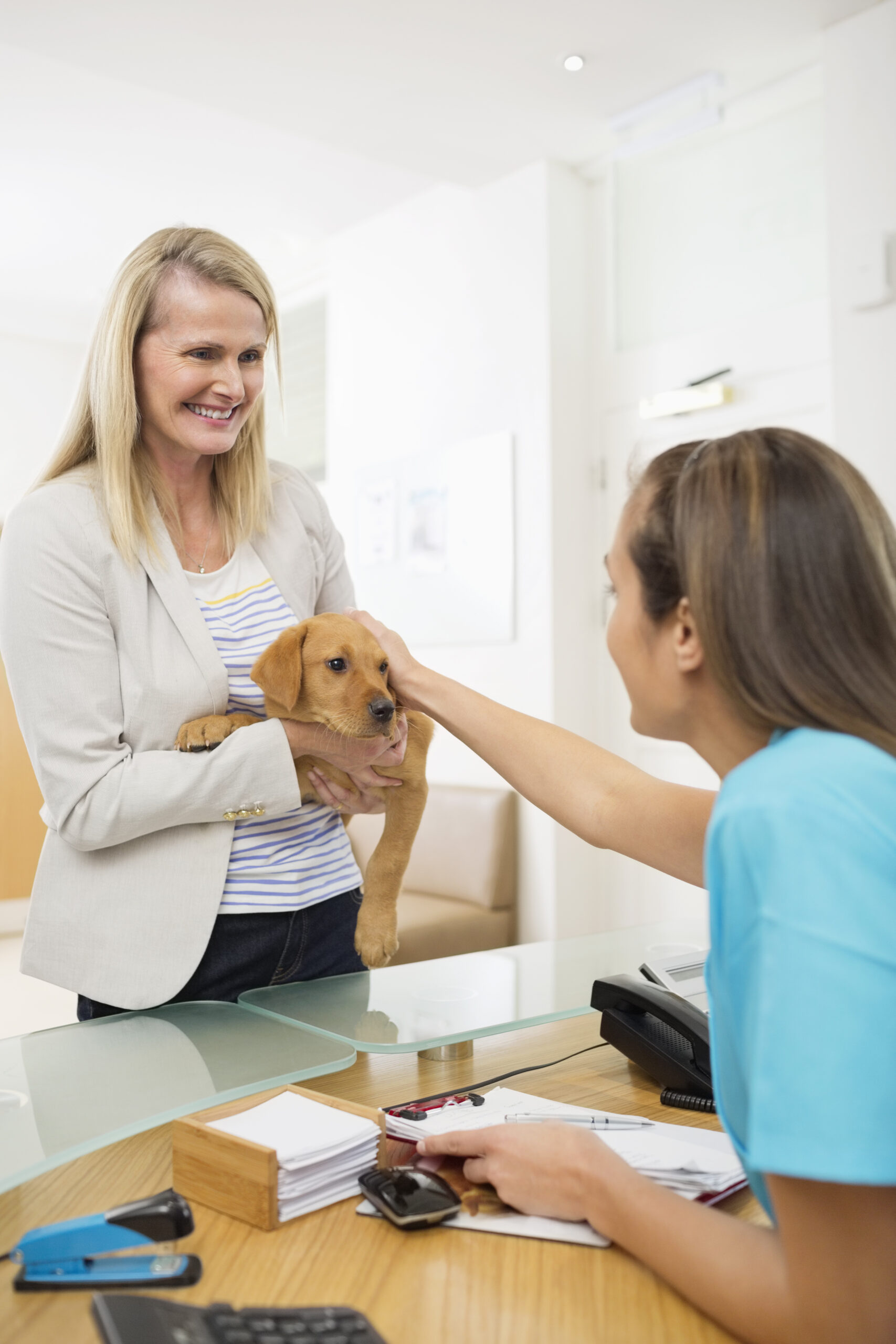 For Pet Parents | Freckles and Friends Pet Clinic Long Beach CA