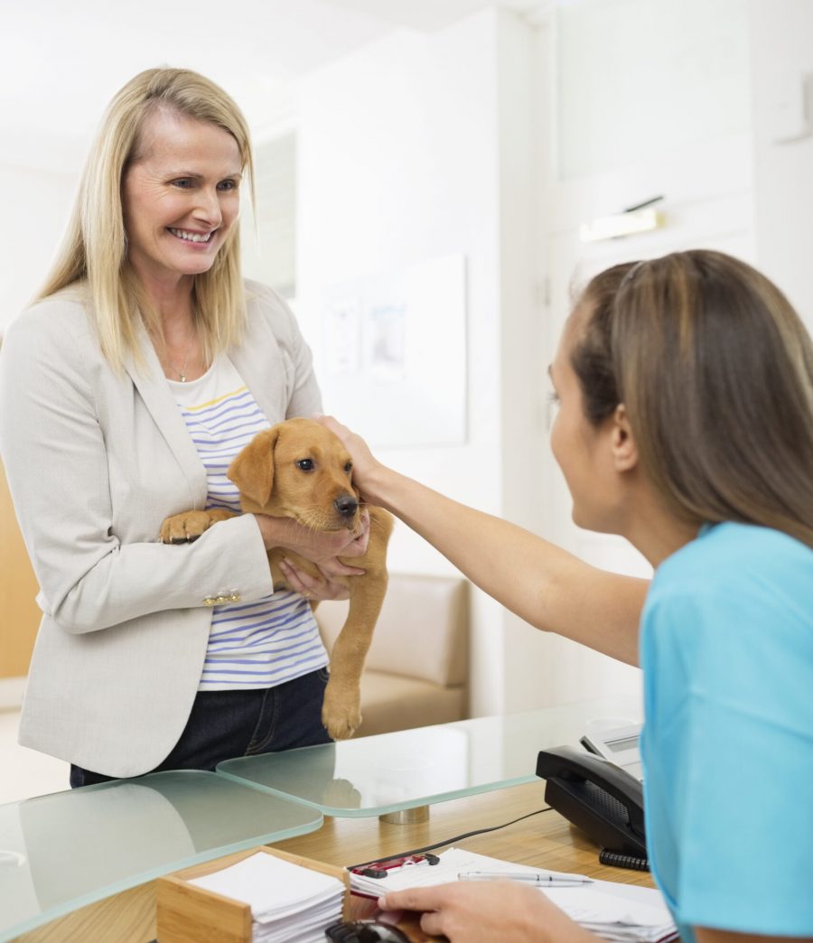 Freckles and Friends Pet Clinic Payment Options